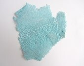 Beach Decor - Turquoise Sea Fan - Authentic Specimen Quality