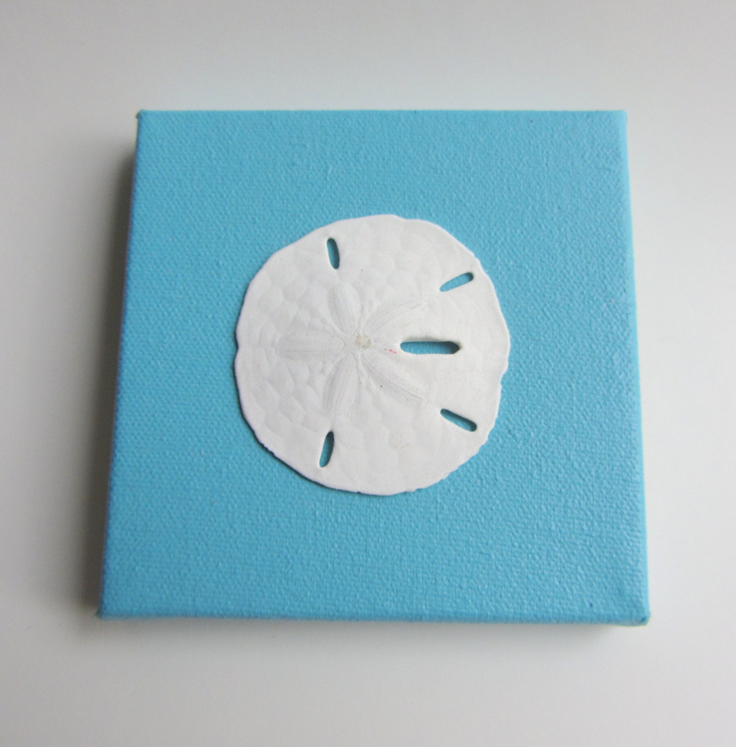 Beach Decor - Small Sand Dollar Canvas