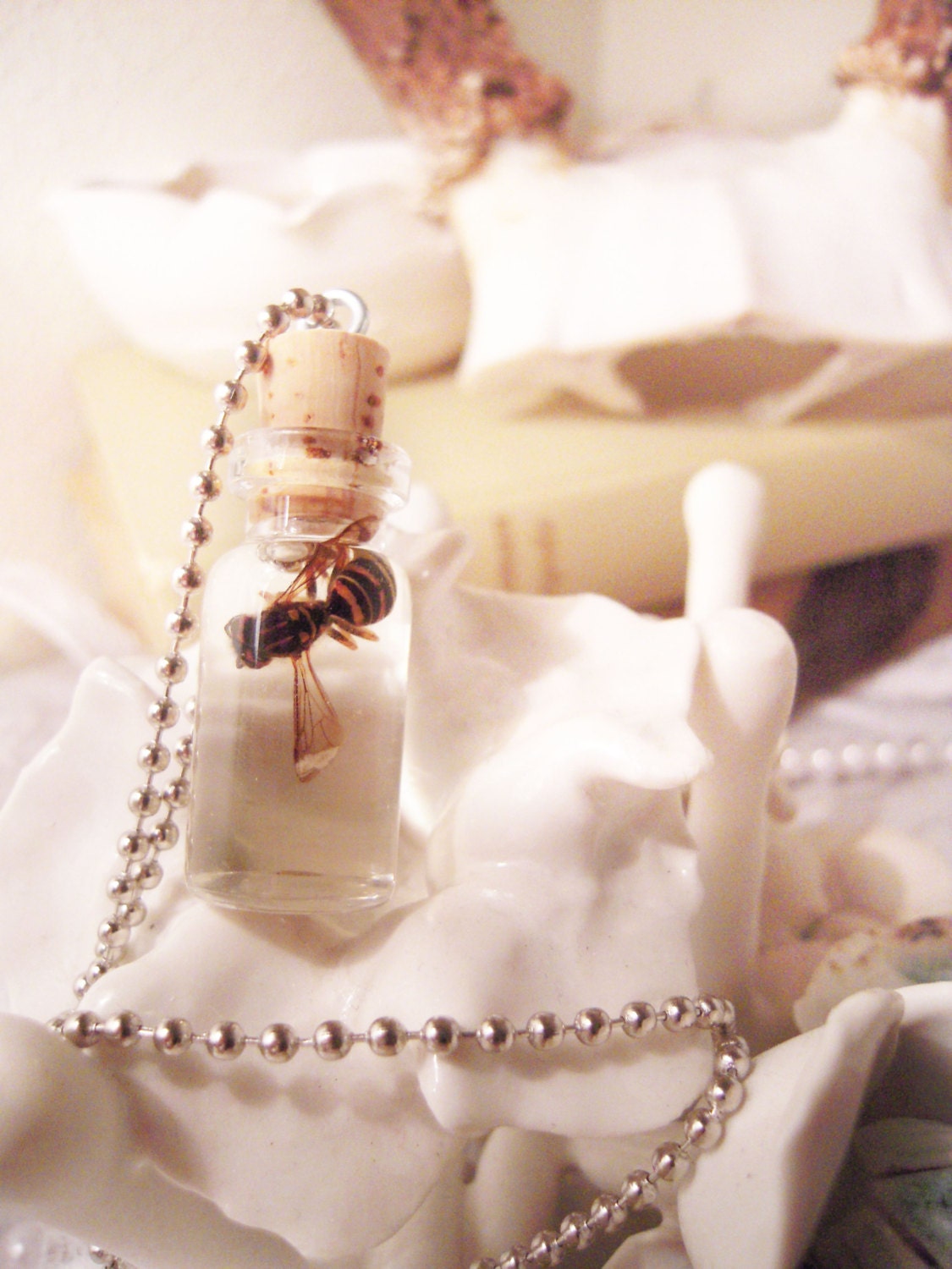 Apothecary -Honey Bee OR Wasp Specimen Bottle Necklace