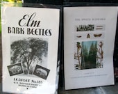 Two Vintage U.S Department of Agriculture Leaflets/Pamphlets- Elm Bark Beetles No.185 / Spruce Budworm No. 242
