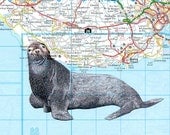 Seal art print on upcycled map for your wall, house decor, room decor, kids decor, nursery decor, housewares
