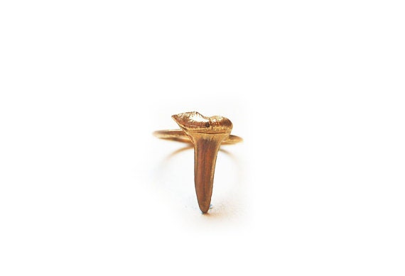 shark tooth pinky ring, bronze