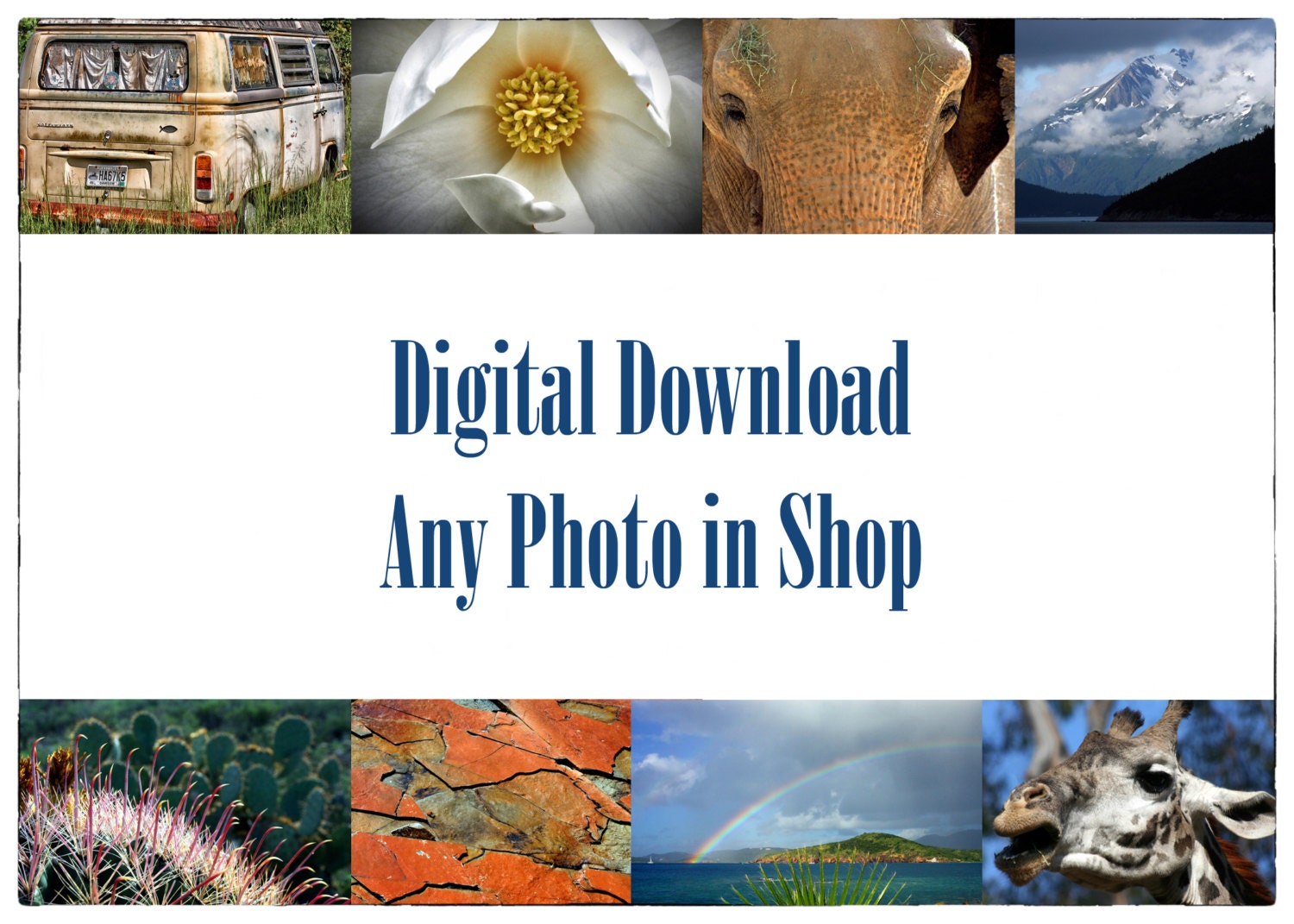 Digital Download