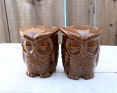 Ceramic Brown Owl Salt and Pepper Shaker Set