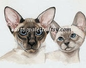 Siamese cat painting kittens 5x7 print from original watercolor painting pets pet portraits childrens art wall art earthspalette