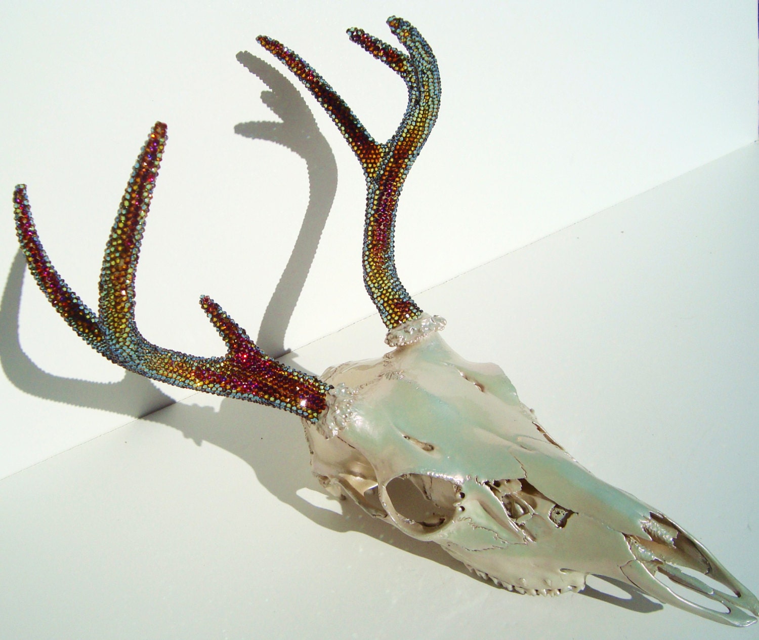 Painted Deer Skull Taxidermy Natural 6-point  with Swarovski Crystal Antlers Art Sculpture