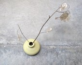 Sun Bleached Vase