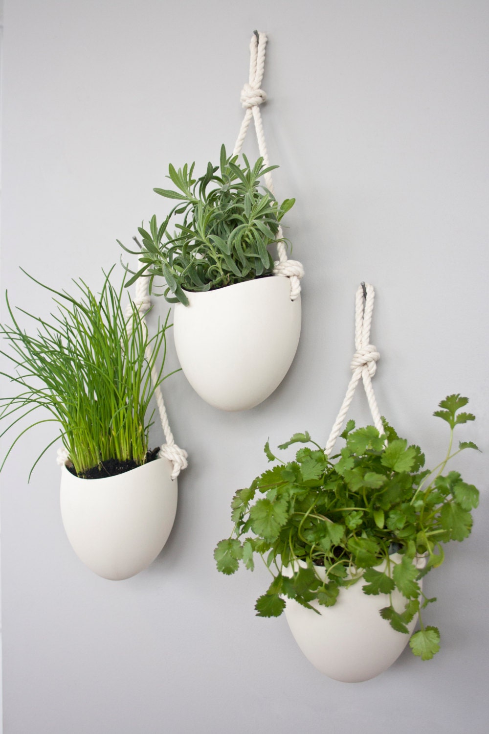 set of 3 porcelain and cotton rope hanging planters