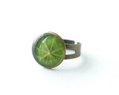 Nature ring with real leaf of Nasturtium - handmade green jewelry - Tropaeolum majus