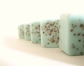 Soap Wedding Favors -Bridal Shower - Party Favors - Rustic Wedding - Custom Wedding Favors in your Wedding colors