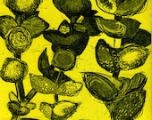 Yellow Succulent  Etching & Aquatint Hand Pulled Original Print - OOAK