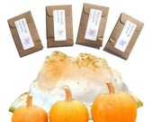 4 Pumpkin Custard Sachets Halloween Decor Home Fragrance Packets Scented Autumn Modern Rustic Vegan Vanilla Small