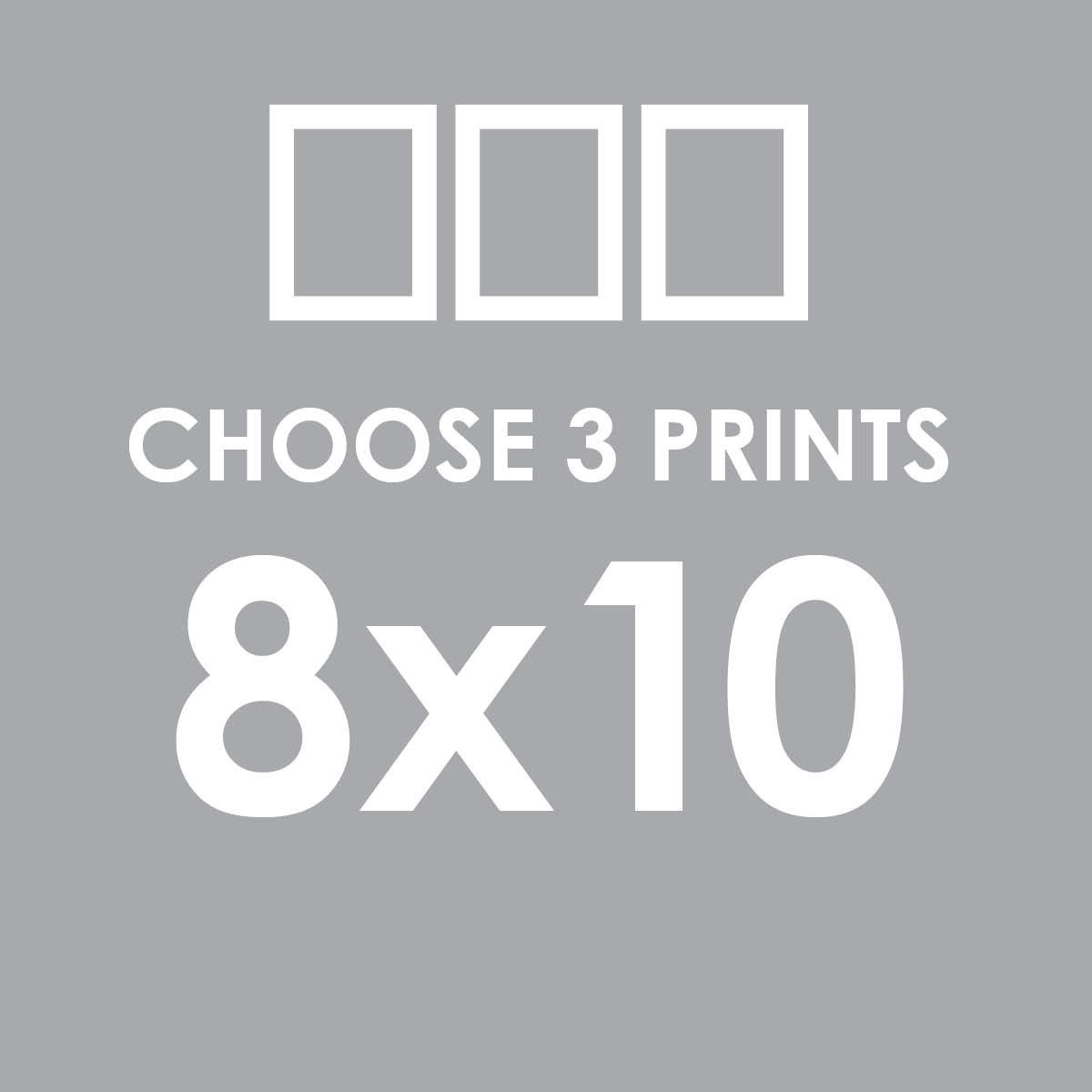 Make a set with any 3 prints in our shop - 8x10 art prints