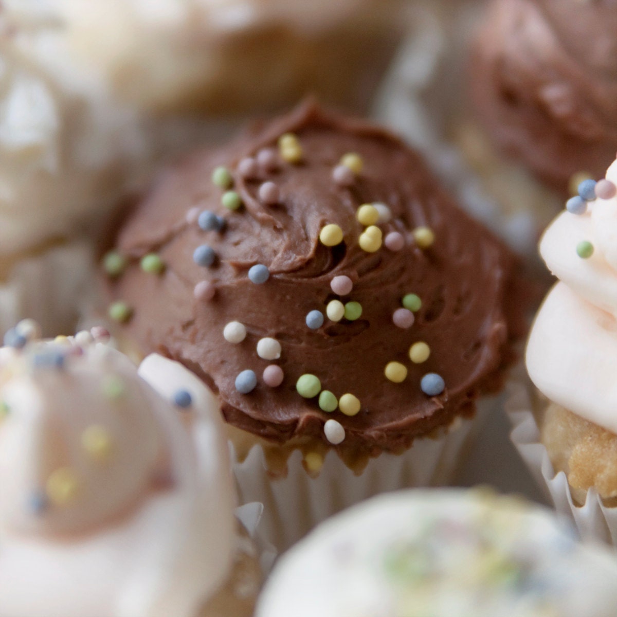 Sweet desire: cupcake image on fine art folding blank gift cards- set of 4- Mini Chocolate covered frosting & sprinkles,  blank inside