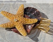 Starfish Boutonniere Seashell Boutonniere Wedding Mens Accessory