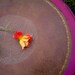 VINTAGE SIDE TABLE - Round Two Tier Painted Fuschia Red Pink Original Leather Mid Century Modern