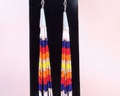 Long Strand Beaded Earrings with Dentalium - Native American Style