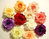 Large Rose Hair Clip, Real Touch, White, Ivory, Red, Orange, Pink, Green, Yellow, Purple, Lavender, Coral, Peach, Blush, Photo Prop, Flower