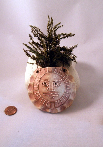 Sun Face Pouch Pot - Dried Tiny Fern - Stained Porcelain Clay - Pottery Textured Pot