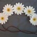 One of a Kind Daisy Flower Crown