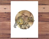 Full Moon Intricate Geometric Bear - Spirit Animal Print from Handmade Ink & Watercolor Painting