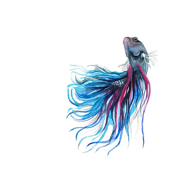 Siamese Fighting Fish Watercolor Illustration Print Turquoise Navy Blue Purple Sea