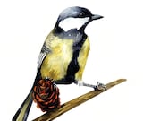 Yellow Titmouse Bird Watercolor Illustration Print Woodland Black White Feather Nature Home Decor