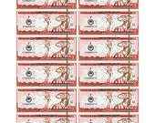 15x22in Charmander Pokedollar Prints