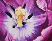 Purple Flower - Original Colored Pencil drawing 5.5x8 Inch