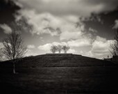 Gold Medal Park, Minneapolis, 11x14" fine art photographic print