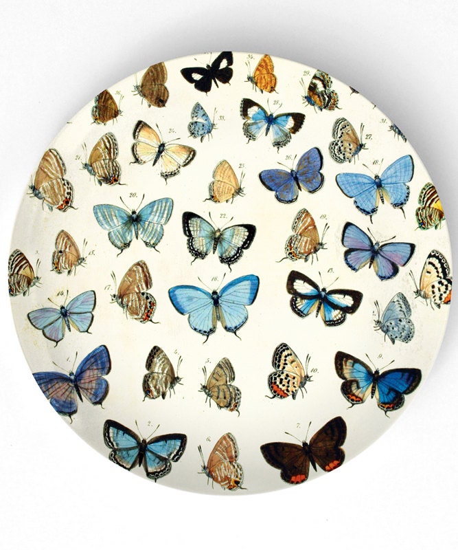 Butterflies II - on 10 inch Melamine Plate
