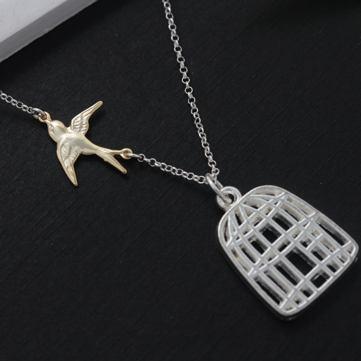 Cage Necklace,16k Gold Birdcage Necklace, Flying Bird, Sterling Silver chain, Cancer Free, Birdcage necklace, Graduation Gift