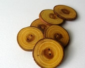 Handmade Osage Orange Wood Buttons Medium 1 3/8 inch wooden tree branch button - set of 6