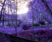 SALE Purple Nature Art Print 8x10 Appalachian Purple Bridge Original Photograph Digital 54 Dreamy Abstract Fine Art Print Forest Scene