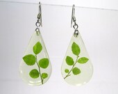 Red Huckleberry (Vaccinium parvifolium) Leaf Earrings, plant jewellery, leaf jewelry, resin earring