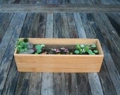 Miniature Koi Pond in Resin (NO Wall Hangers)