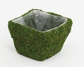 Moss Planter Basket - Great for Succulents Wedding Centerpieces