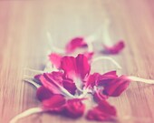Love Fine Art Photography - Heart - Red Flower Petal - Art Print - Wall Art - Home Decor