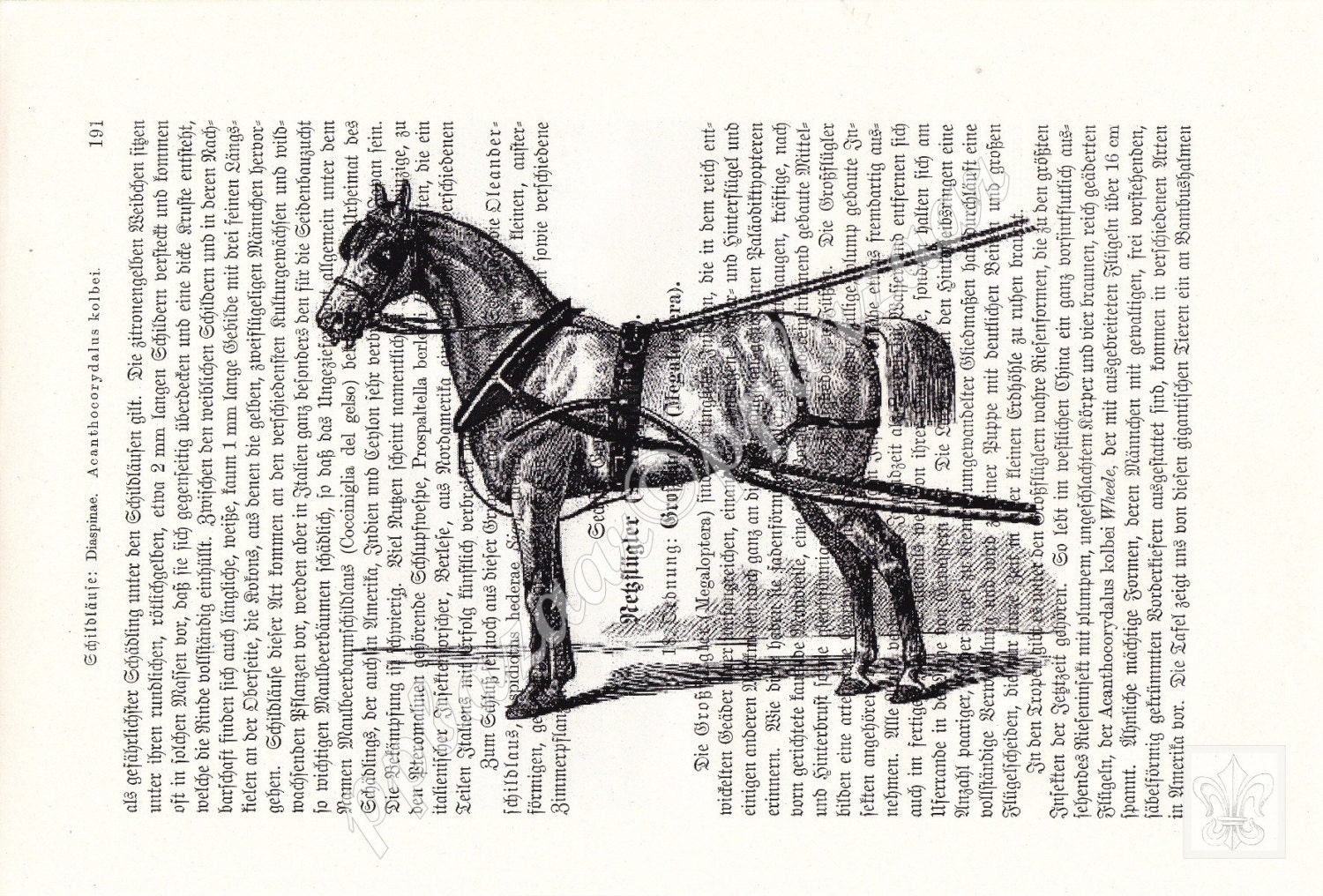 Elegant Horse Harness from the 19th Century on Upcycled Antique Book Page - Vintage Art Print of