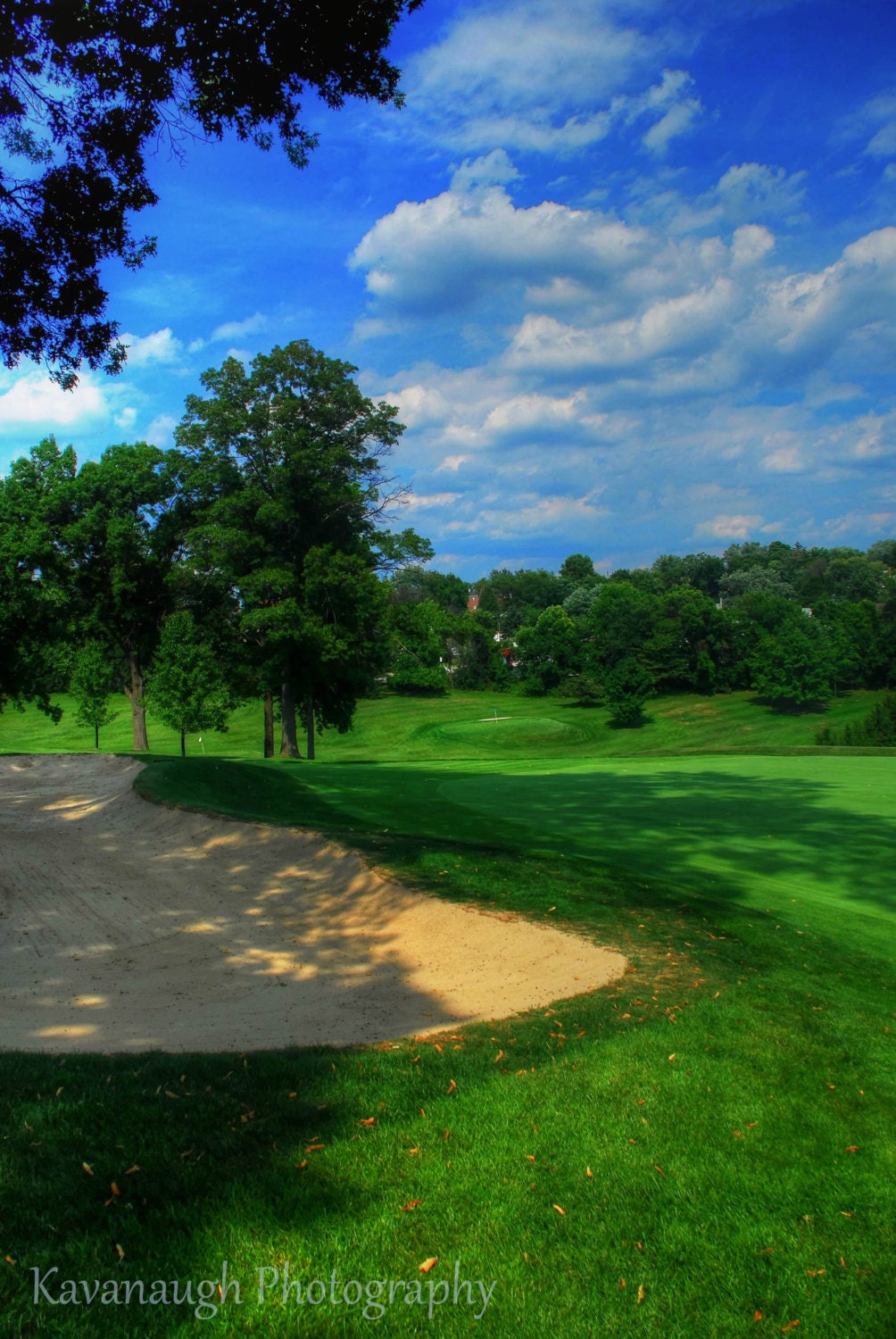Golf Course Photograph