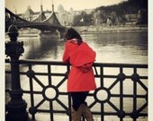 Red Leaf Bike Messenger Bag,Bicycle Bag, Backpack -  Medium Waterproof