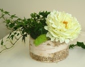 natural birch bark wood vases wedding flower pot centerpieces baskets woodwork rustic chic wedding garden party decor peony