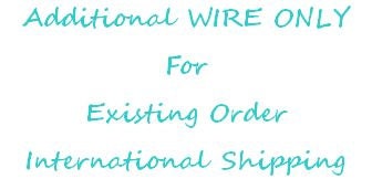 Additional WIRE ONLY for Existing Order - US Shipping