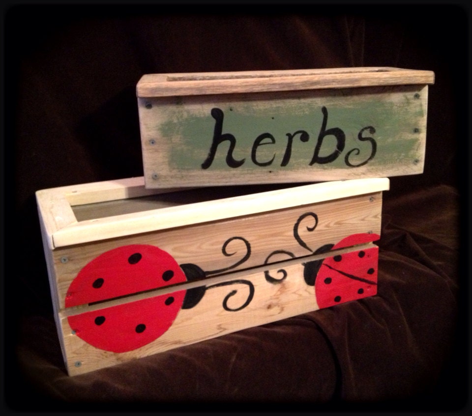 Lady Bug Flower Herb Planter Box