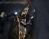 Steampunk Victorian Taxidermy Turtle Dome