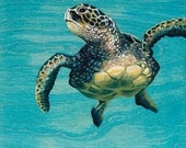 Scotty's Sea Turtle Fine Art Painting Print 8x8"
