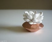 Succulent Sculpture in Modern White Faceted Container, Desktop Accessory, Tabletop Centerpiece