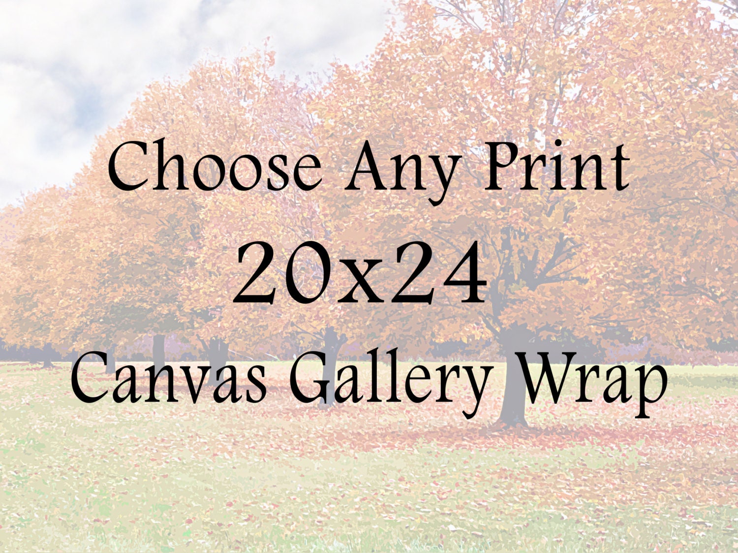 Decor - Choose Any Print 20x24 Canvas Gallery Wrap - Photography, Home Decor, fPOE, Typography, Quotes, Nature Photography, Black and White