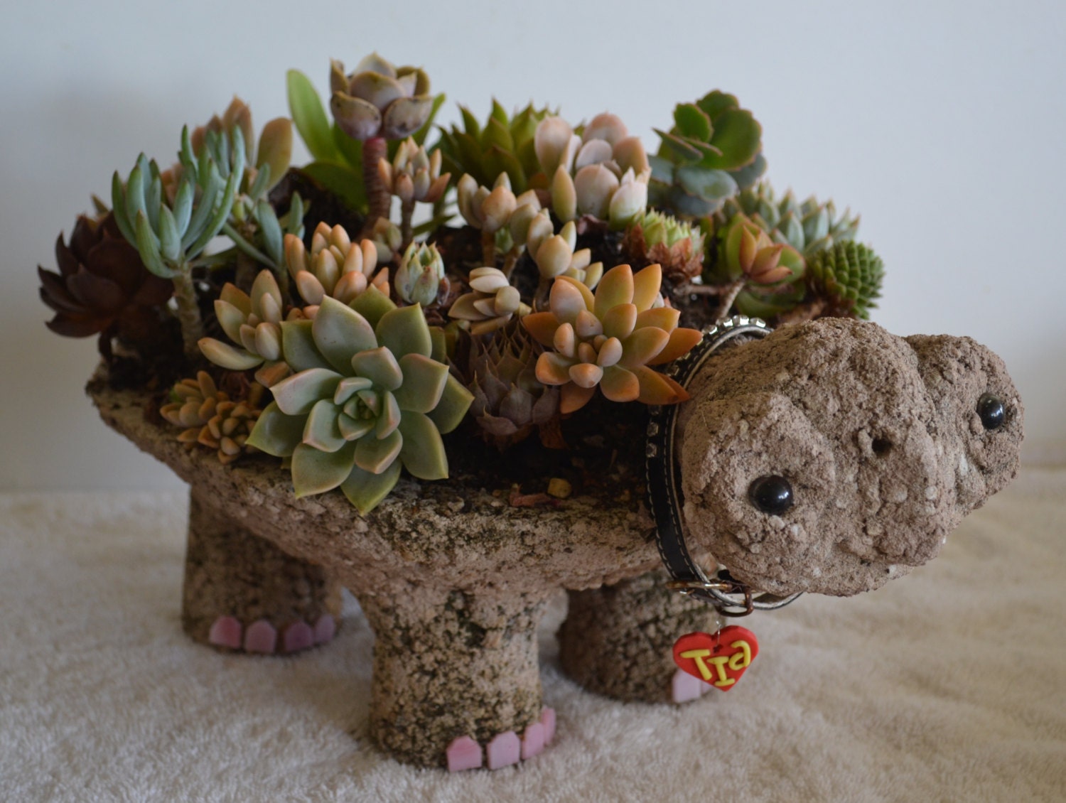 Turtle Pot Hypertufa Succulent Planter Tutorial PDF