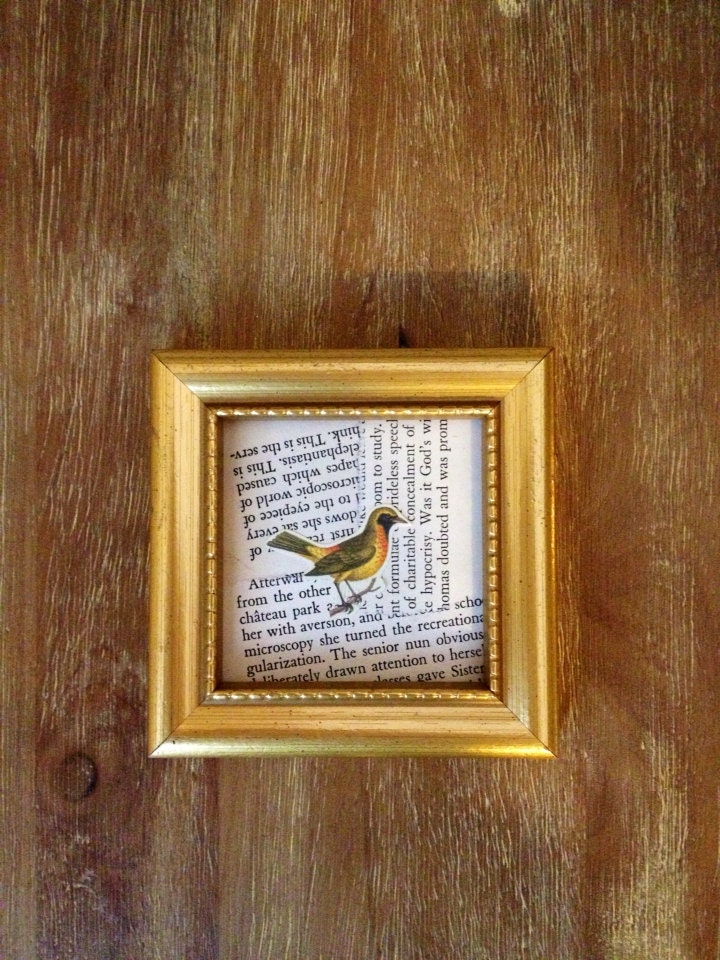 Gold Frame Bird Print Mounted on Old Book Pages